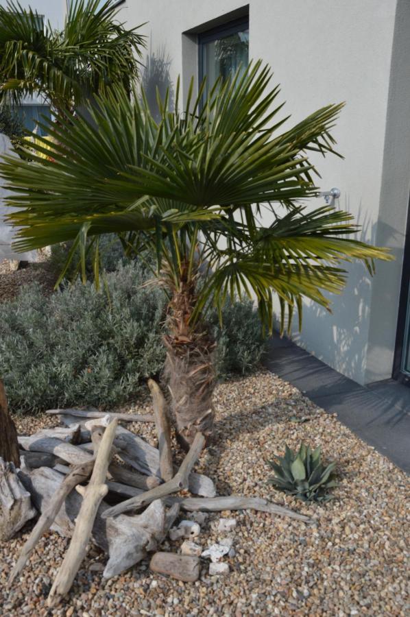 Palm Garden Apartment 1 Mikulov Εξωτερικό φωτογραφία