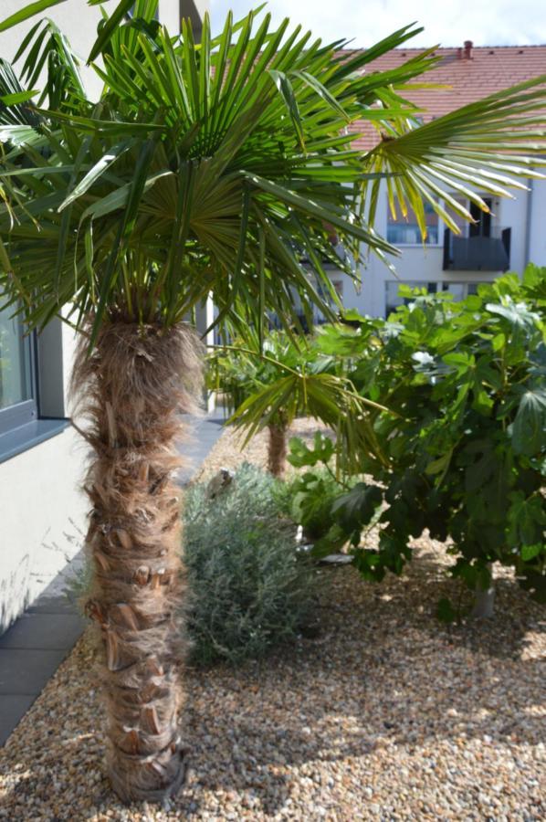 Palm Garden Apartment 1 Mikulov Εξωτερικό φωτογραφία