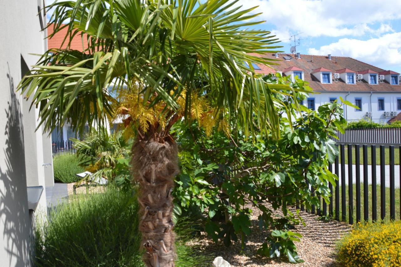 Palm Garden Apartment 1 Mikulov Εξωτερικό φωτογραφία