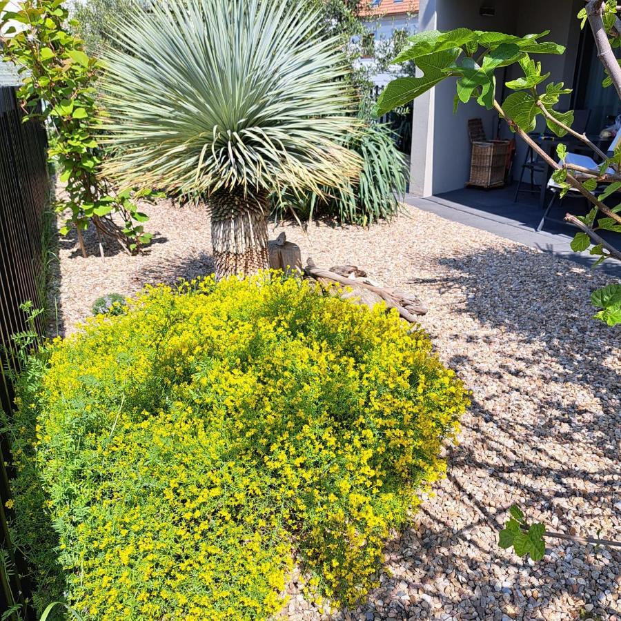 Palm Garden Apartment 1 Mikulov Εξωτερικό φωτογραφία