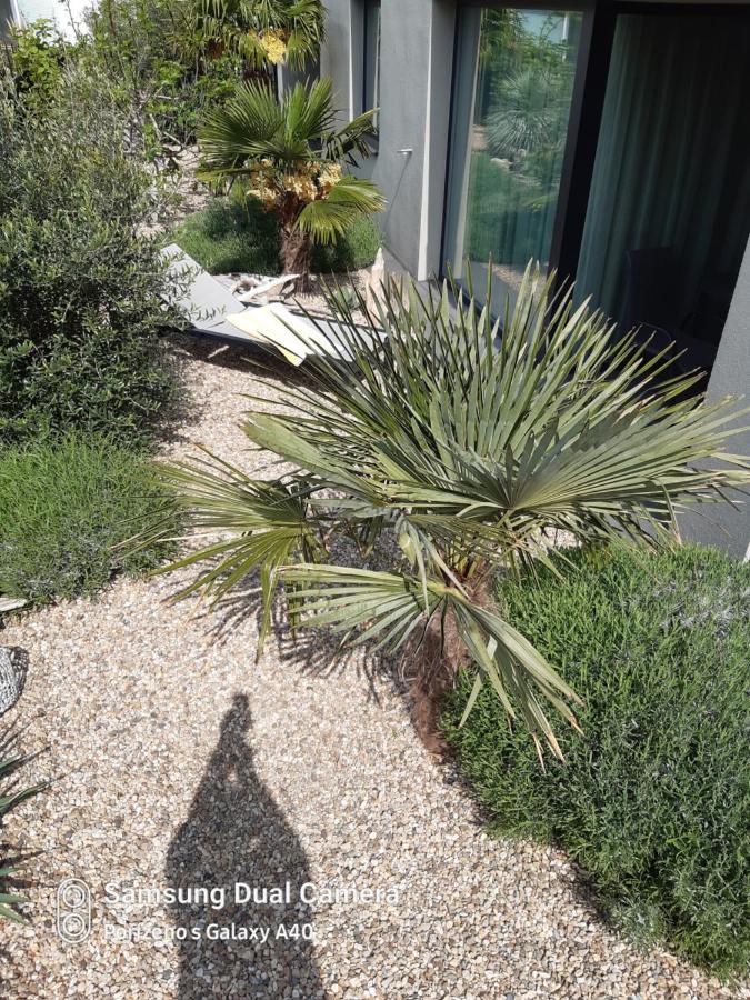Palm Garden Apartment 1 Mikulov Εξωτερικό φωτογραφία